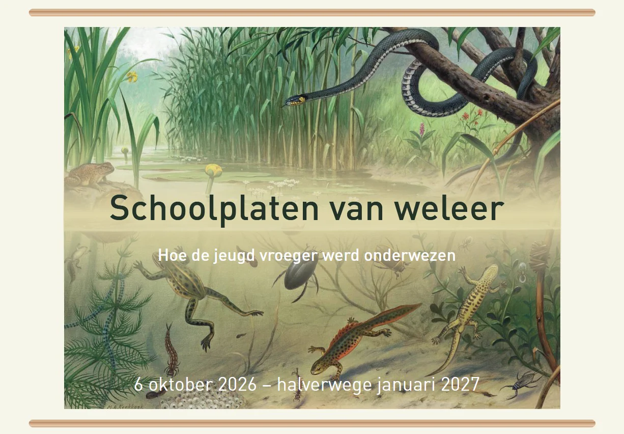 Flyer van de tentoonstelling Schoolplaten van weleer: een schoolplaat van M.A. Koekkoek met het leven in en rond een sloot, met de titel en de periode 6 oktober 2026 tot halverwege januari 2027